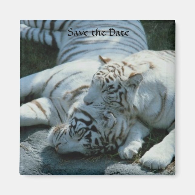 Save the Date White Tiger Magnets (Front)