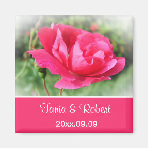 save the date, wild pink rose flowers. magnet