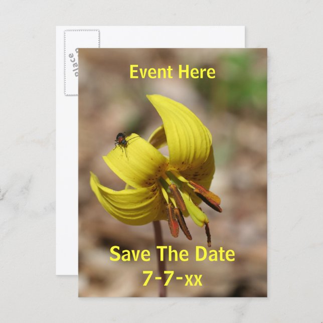 Save The Date Wild Trout Lily Flower  Announcement Postcard (Front/Back)