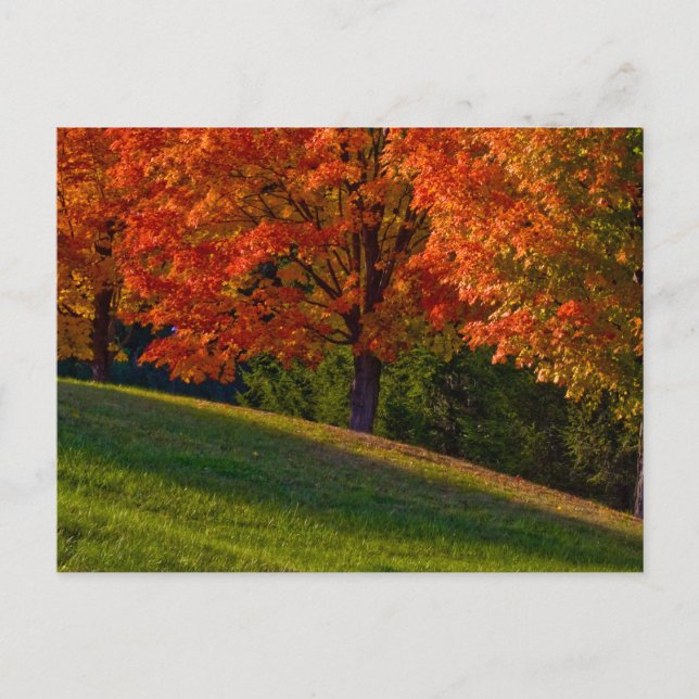 Save The Dates Photo Postcards (Front)