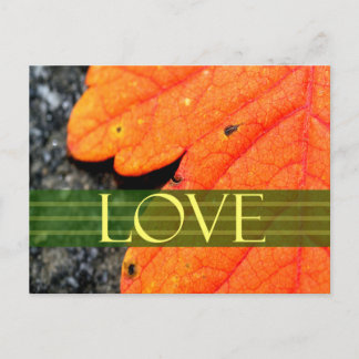 Save The Dates Wedding Card
