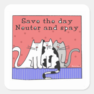 Save the Day, Neuter and Spay Square Sticker
