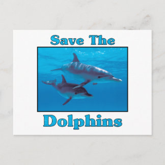 Save the Dolphins Postcard