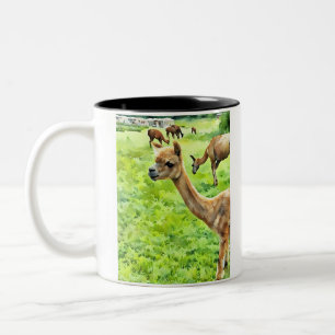 Save the Drama For Your Llama Mug