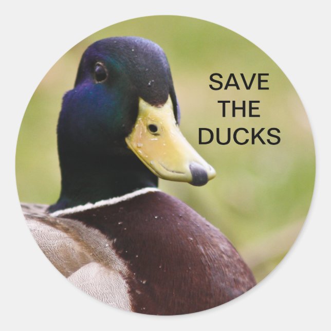 Save The Ducks Sticker (Front)