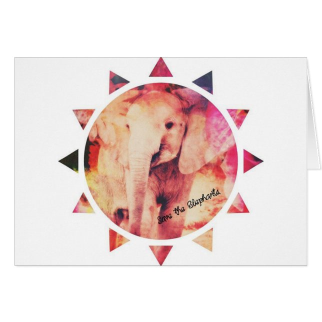 Save the Elephants, Baby Elephant Sunshine (Front Horizontal)