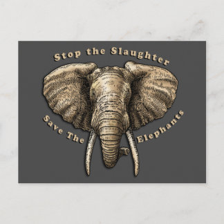 Save the Elephants Graphic Postcard