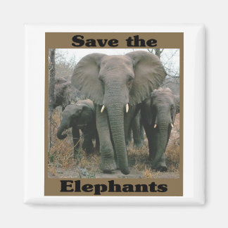 Save the Elephants Magnet