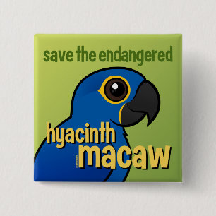 Save the Endangered Hyacinth Macaw 15 Cm Square Badge
