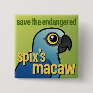 Save the Endangered Spix's Macaw 15 Cm Square Badge
