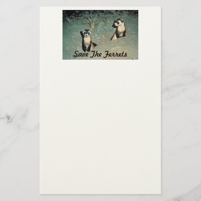 Save The Ferrets Stationery (Front)