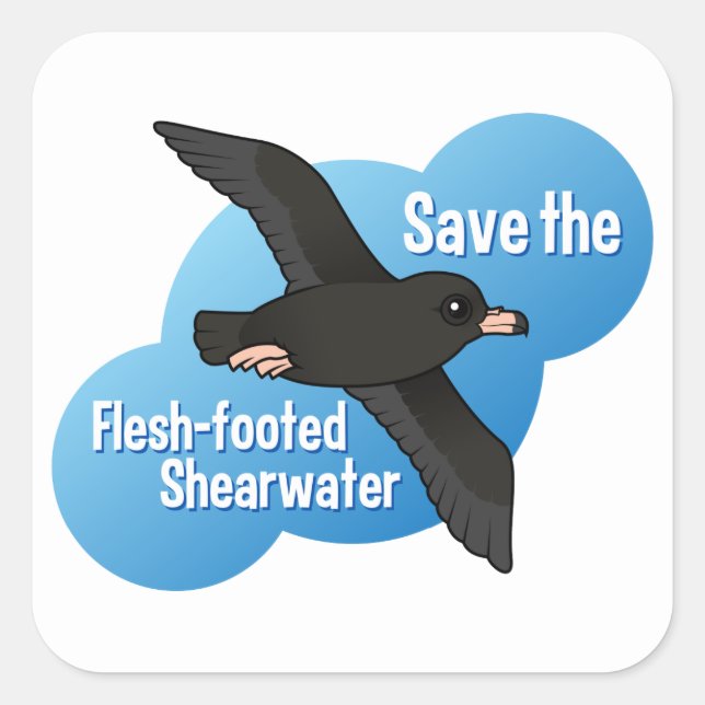 Save the Flesh-footed Shearwater Square Sticker (Front)