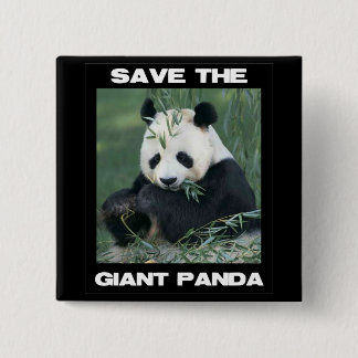 Save the Giant Panda 15 Cm Square Badge