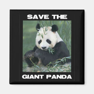Save the Giant Panda Magnet