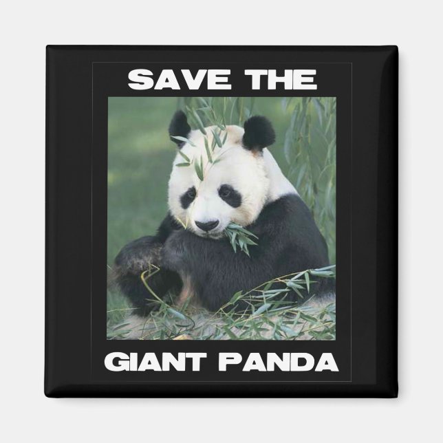 Save the Giant Panda Magnet (Front)