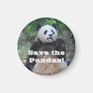 Save the Giant Pandas Magnet