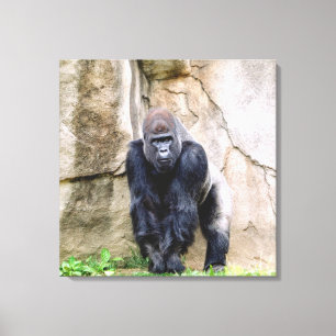 Save The Gorillas Canvas Print