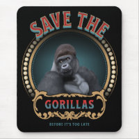 Save The Gorillas | Endangered Species