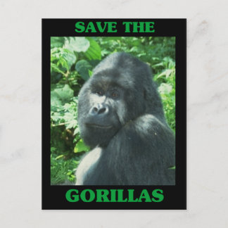 Save the Gorillas Postcard