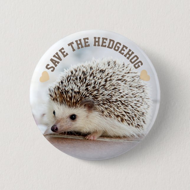 Save The Hedgehog 6 Cm Round Badge (Front)