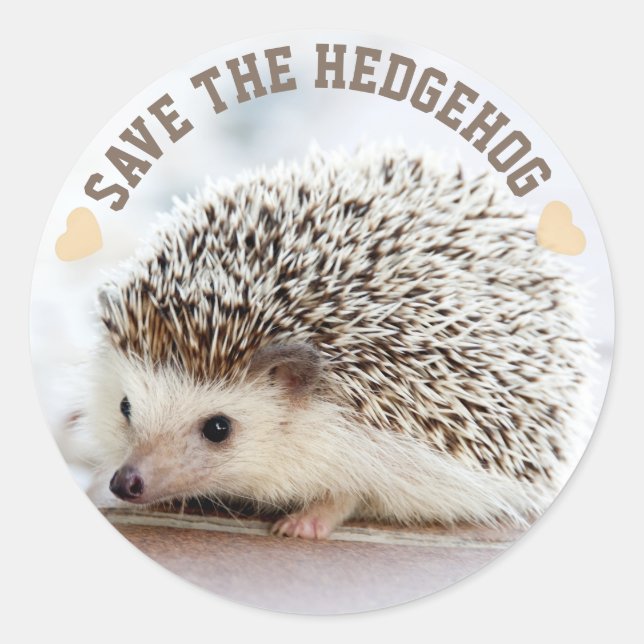 Save The Hedgehog Classic Round Sticker (Front)