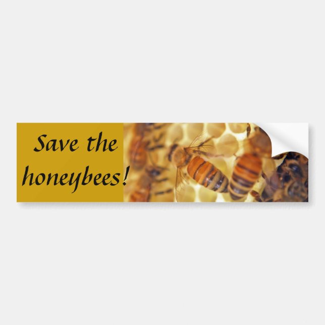Save the honeybees! bumper sticker (Front)