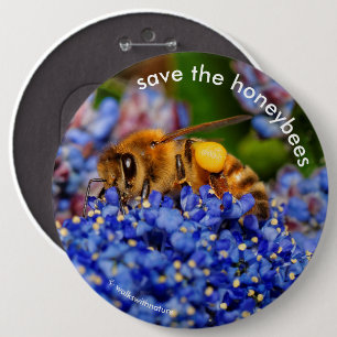 Save the Honeybees Pollinating California Lilac 6 Cm Round Badge