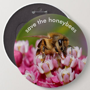Save the Honeybees Pollinating Narrowleaf Milkweed 6 Cm Round Badge
