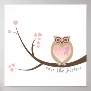 Save the Hooters Poster