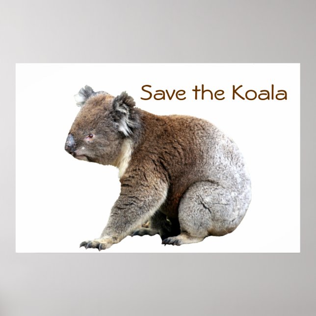 Save the Koala Poster (Front)