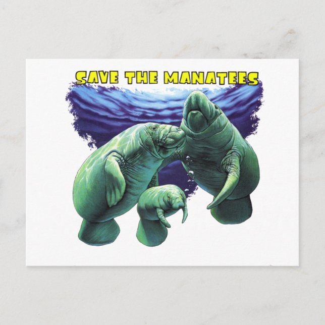 Save the Manatees Postcard (Front)