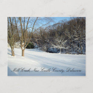 Save the Mill Creek Flood Plain Winter Postcard