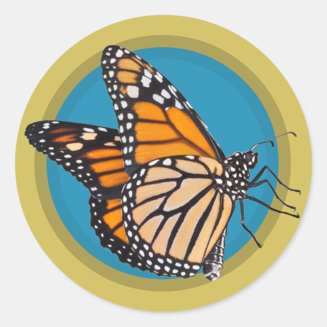 Save the Monarch Butterfly Classic Round Sticker (Front)