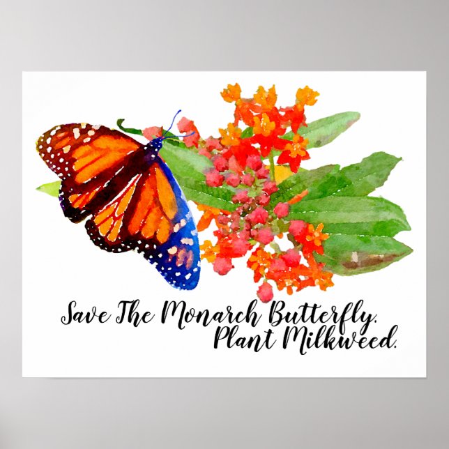 Save The Monarch Butterfly. Plant Milkweed. Poster (Front)