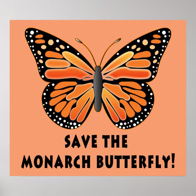 Save the Monarch Butterfly Poster (Front)