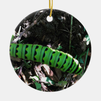 Save the Ohio Monarchs | Caterpillar Ceramic Tree Decoration