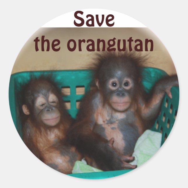 Save the Orangutan Classic Round Sticker (Front)