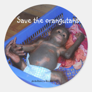 Save the Orangutans Cute Baby Classic Round Sticker