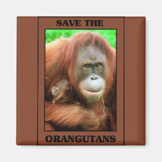 Save the Orangutans Magnet