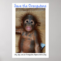 Save the Orangutans