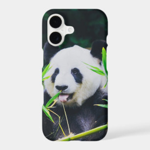 Save The Panda