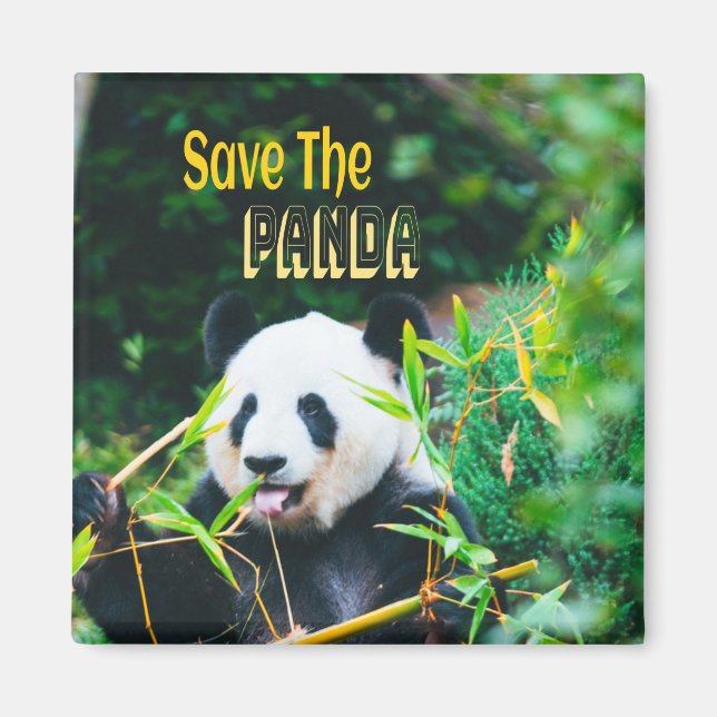 Save The Panda Magnet (Front)