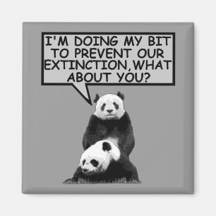 Save the Panda Magnet