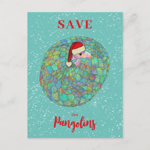 Save the Pangolin Cute Christmas Holiday Postcard