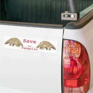 Save the Pangolin Slogan Endangered Animal Rights Bumper Sticker