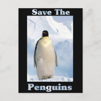 Save the Penguins Postcard
