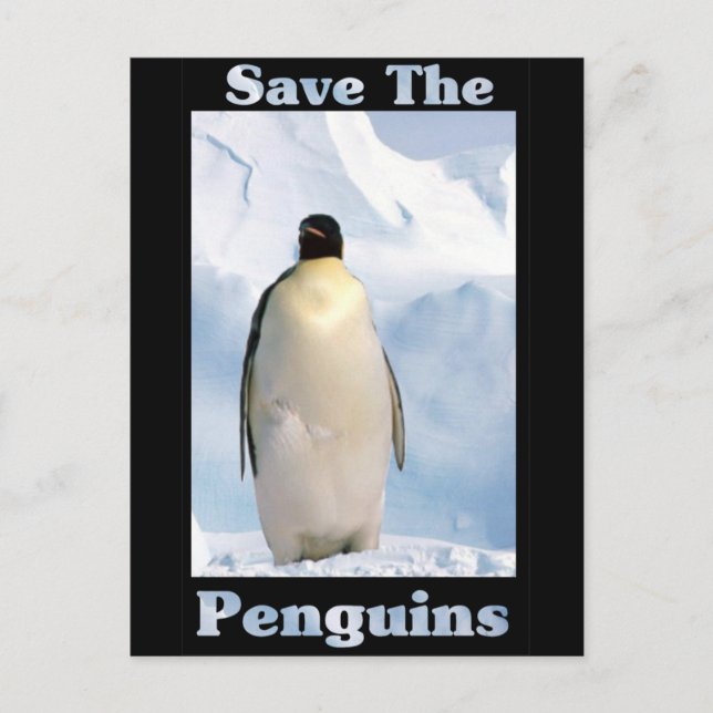 Save the Penguins Postcard (Front)