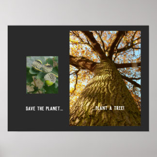 Save The Planet Poster