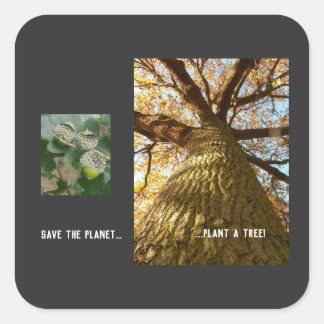 Save The Planet Square Sticker