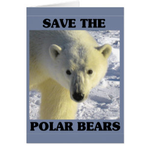 Save the Polar Bears
